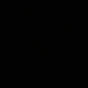 Meet your Posher, Eva